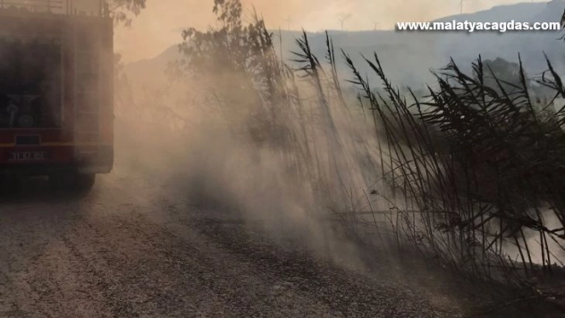 Hatay'da sazlık alandaki yangın kontrol altına alındı