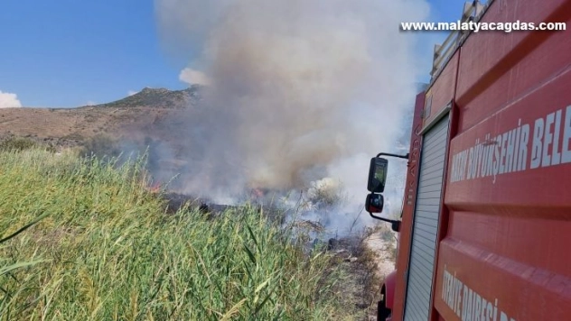 Hatay'da sazlık yangını seraları yaktı