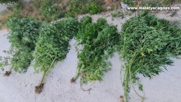 Hatay'da uyuşturucu operasyonları