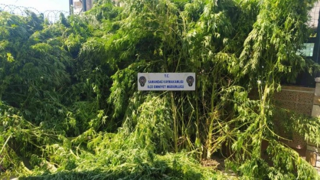 Hatay'da uyuşturucu operasyonları