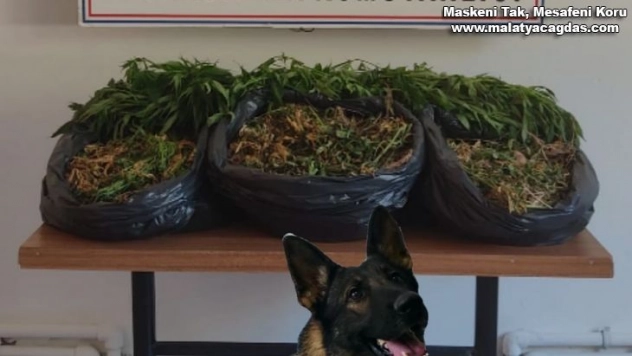 Hatay'da uyuşturucu operasyonu