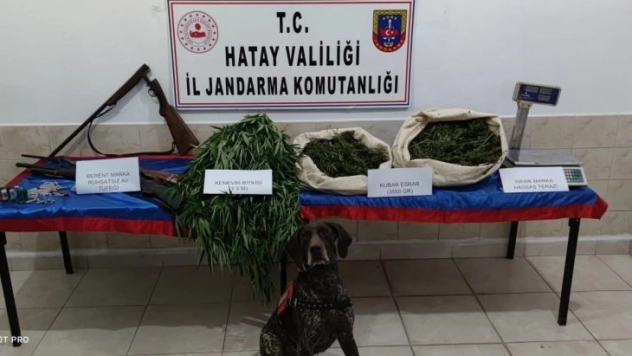 Hatay'da uyuşturucu operasyonuna 1 tutuklama