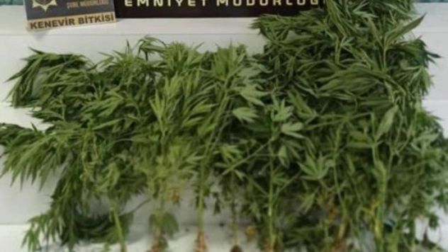 Hatay'da uyuşturucu operasyonu