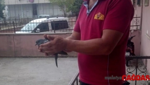 Havalandırma boşluğuna düşen kuş kurtarıldı