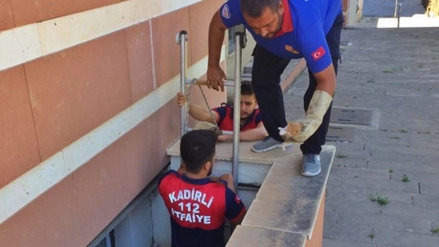 Havlandırma boşluğuna düşen yavru kediyi itfaiye kurtardı