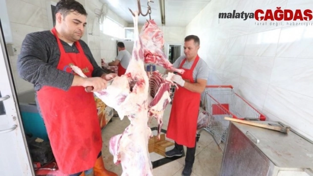 Hayat Ağacı'na 742 hisse