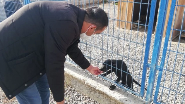 Hayvan Bakımevi ve Rehabilitasyon Merkezi sokak hayvanlarına ev sahipliği yapıyor