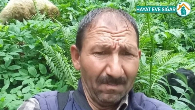 Hayvan otlatmaya gitti cesedi bulundu