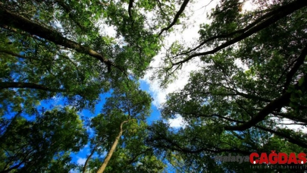 Hayvanlara kötü muameleye 49 bin TL ceza