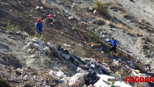 Hayvanları telef eden çöpleri topladılar