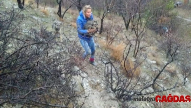 Hayvansever çiftten yürek ısıtan görüntüler