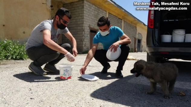 Hayvanseverler sokak hayvanlarını bayramda unutmadı