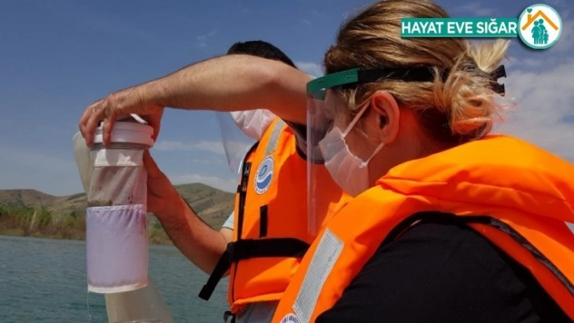 Hazar Gölü'nde mikroplastik kirlilik araştırması