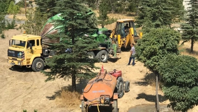 Hekimhan Belediyesi yol çalışma alanındaki ağaçları taşıyor