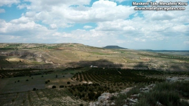 Hekimhan'da 2 bin 700 dekar alan sulanmayı bekliyor