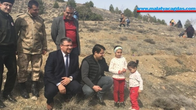 Hekimhan'da fidanlar toprakla buluşturuldu