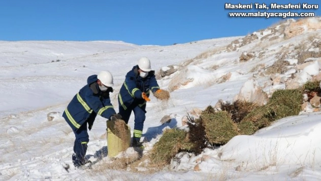 Hem arıza giderdiler hem de yabani hayvanları doyurdular