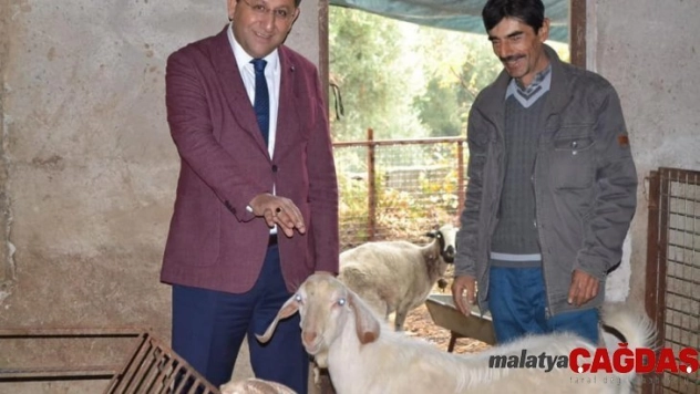 Hibe desteği ile hayvancılığa başladı