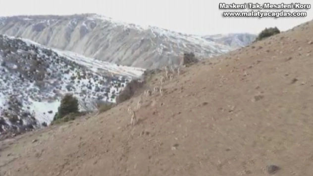 Hiç bu kadarı bir arada görüntülenmemişti