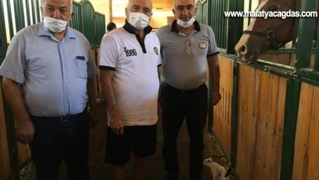 Hikmet Karaman'dan şampiyon ata ziyaret