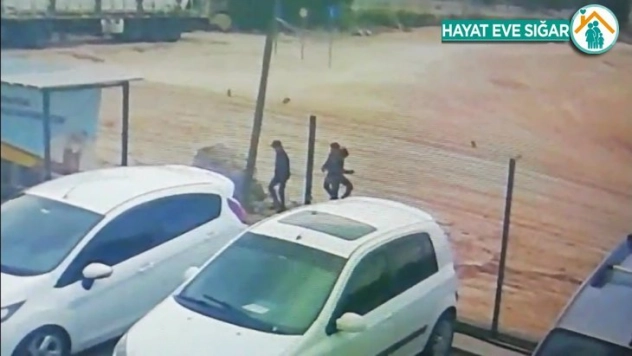 Hırsızlık uğruna canlarını hiçe saydılar