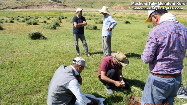 HRÜ'nün pamuk verimi ile ilgili projesi TÜBİTAK tarafından kabul edildi