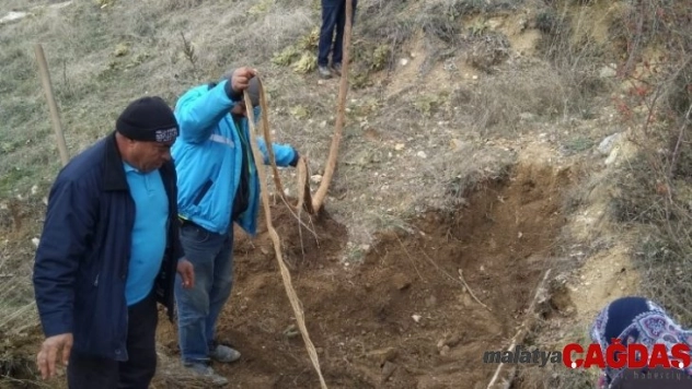 İçme suyu hattından 9 metre ağaç kökü çıktı