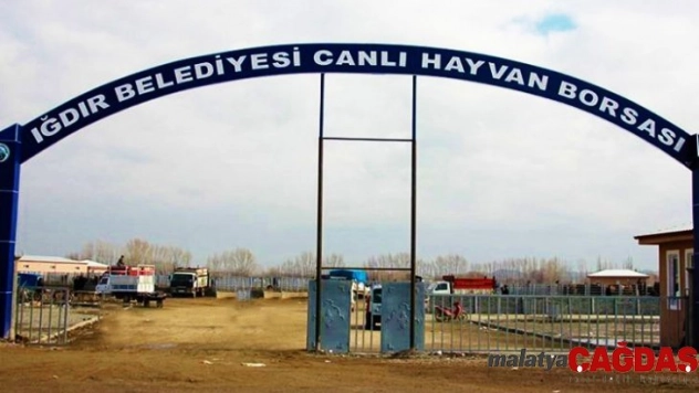 Iğdır'da Şap hastalığı paniği, 'Canlı Hayvan Borsası' kapatıldı