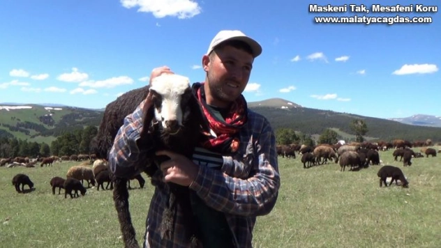 Iğdır'dan Sarıkamış'a göçerlerin zorlu yayla yolculuğu