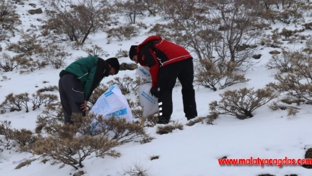 İHH ekipleri bu kez dağ keçilerini besledi