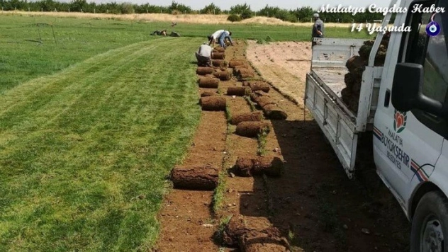 İhtiyaç duyduğu çimi kurduğu tesiste üretiyor