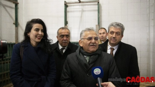 İki aslan yavrusunun isimlerini vatandaşlar belirleyecek