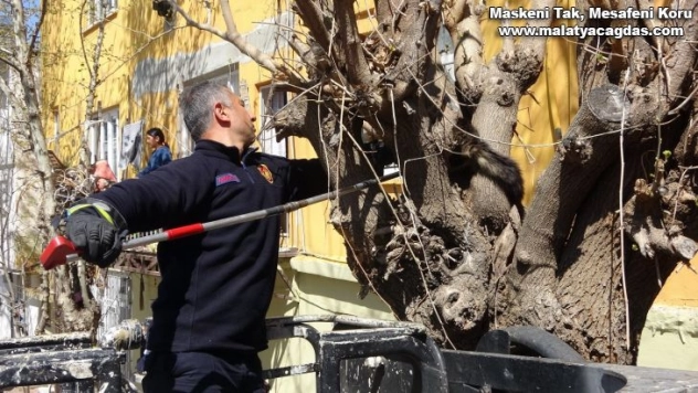 İki gündür aç ve susuz kalan kedi kurtarıldı