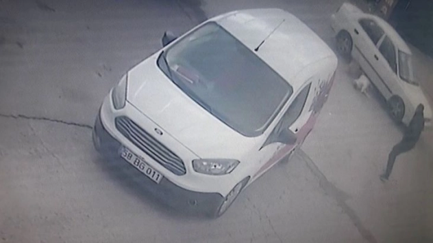 İki köpeğe birden çarptı arkasına bile bakmadı