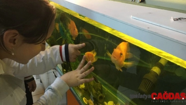 İki sırtında da kalp şekli oluşan balık ilgi odağı oldu