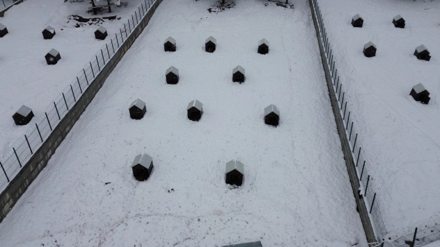 İkinci hayvan barınağı hizmete başladı