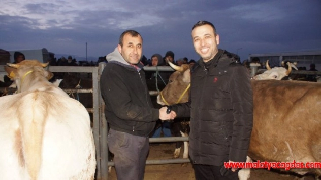 İlçede ve ülkede yaşanan olumsuzluklara karşı dua edip kurban kestiler