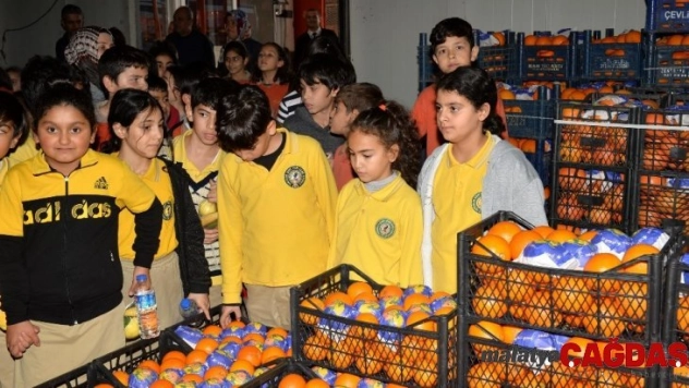 İlkokul öğrencileri, Toptancı Hal Kompleksini gezdi