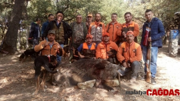 İnegöllü avcılar dev domuz avladı