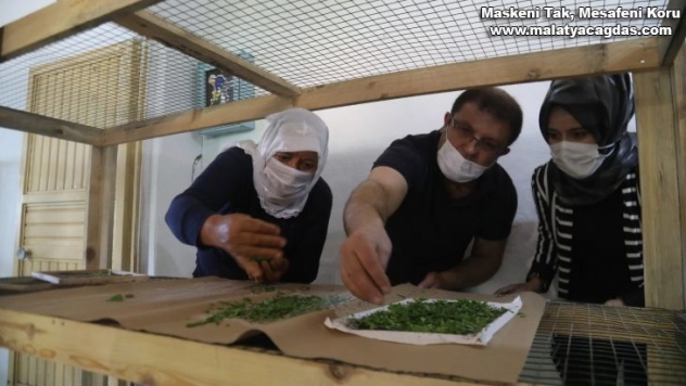 İpekböcekçiliği için çiftçiye tam destek