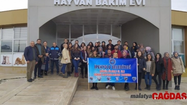 İpekyolu Belediyesinden sokak hayvanları için örnek çalışma