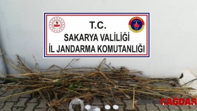 İş yerinde uyuşturucu eken bekçi tutuklandı