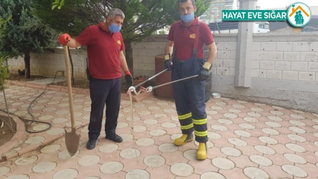 İş yerine giren yılan yakalandı