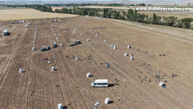 İşçilerin karınca gibi çalışması havadan görüntülendi