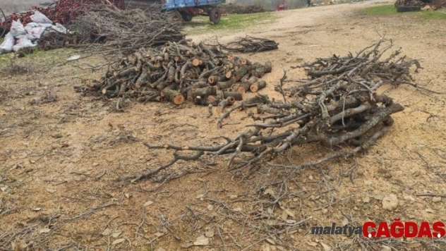 Isınmak için ağaçları kesiyorlar