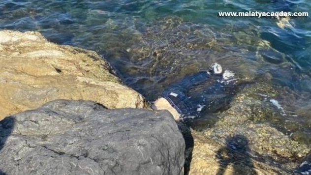 İskenderun'da barınakta erkek cesedi bulundu