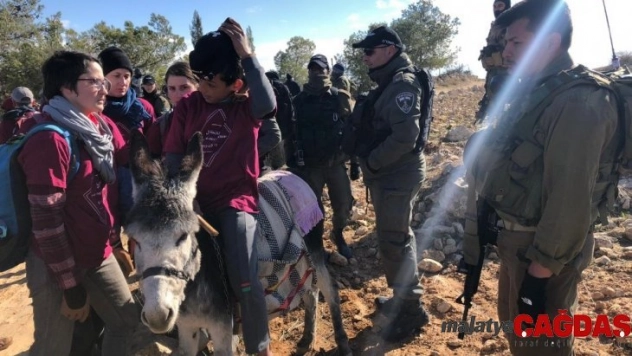 İsrail güçleri, Filistinlilerin zeytin fidanlarını dikmesini engelledi