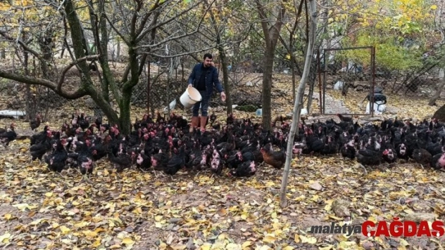 İşsiz kaldı, kendi imkanları ile tavuk çiftliği kurdu