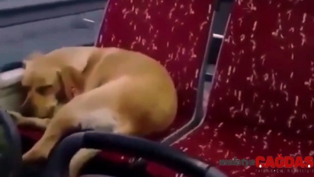 İstanbul'da otobüs şoföründen insanlık örneği