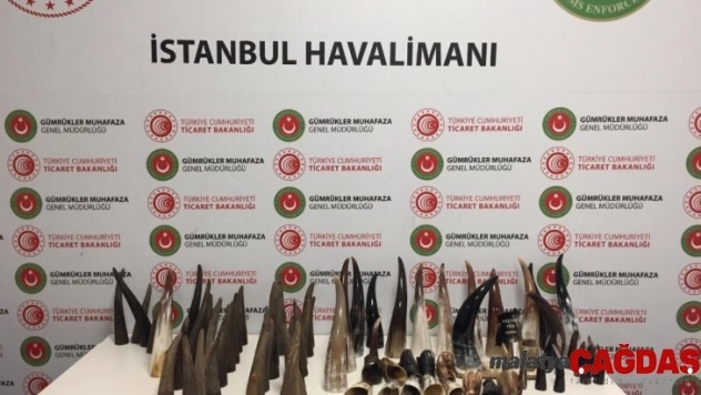 İstanbul Havalimanı'nda bufalo boynuzu operasyonu